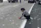Accident în lanț pe un drum din Germania! O fetiță a aruncat pe geamul mașinii geanta cu bani a tatălui 