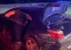 Cinci persoane rănite într-un accident rutier pe DN 65, la Jitaru! Traficul este blocat