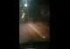VIDEO Urs filmat în centrul unei comune turistice din județul Brașov!