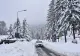 De ce nu mai ninge în România ca altădată? Meteorolog, semnal de alarmă 