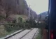 Un nou incident pe calea ferată. Vântul a doborît un copac peste linii. Circulație pe un singur fir între Buftea și Periș