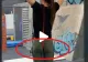VIDEO – Accident rușinos la sala de sport – Ce a pățit o tânăra atunci când încerca un exercițiu nou, în văzul tuturor
