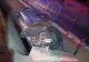 Accident grav - Patru tineri răniți după ce s-au răsturnat cu mașina