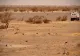 Atac terorist în Mali! MORȚI și RĂNIȚI în rândul trupelor de menținere a păcii după o explozie violentă