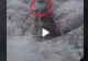 VIDEO – Ce a filmat un mecanic de tren chiar din locomotivă, în zona Aradului – Imaginile au devenit virale