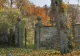 Acest test îți arată dacă ai un IQ peste medie. Tu vezi femeia din poză?