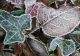 Prognoza meteo 27 decembrie. Cod galben de vreme severă - zonele afectate de lapoviță