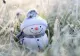 Vremea 21 decembrie - Cod galben de ninsori - Ce zone sunt vizate