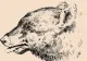Iluzia optică veche de peste 100 de ani pe care numai geniile o descifrează - FOTO