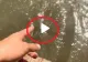 VIDEO – A observat un pește pe fundul apei și a vrut să le arate și prietenilor. Ce a urmat întrece orice imaginație