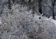 De ce apare ploaia îngheţată, fenomenul meteo care a îngrozit România