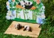 2 pui gemeni de panda uriași, prezentați publicului, la o grădină zoologică din China - imagini INCREDIBILE 