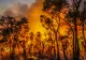 FOTO + VIDEO | Incendiu scăpat de sub control în Australia. Flăcările au cuprins o regiune turistică