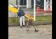 „Eficiență” românească: muncitorii au adunat apa cu lopata, pe care au vărsat-o în...cupa excavatorului! VIDEO