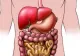 Leguma care îți curăță stomacul de toxine - regenerează digestia