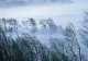 Vremea 2 decembrie - Temperaturile încep să mai crească în termometre - Ce maxime se vor înregistra