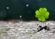 Horoscop 11 decembrie. Zodiile care se îmbogățesc rapid. Șanse fabuloase la jocurile de noroc