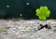 Horoscop 28 decembrie. Zodia care se îmbogățește. Din ce dăruiște, primește însutit!