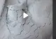 VIDEO – A văzut ceva ciudat în zăpadă. Când a dat cu piciorul să verifice, a fost surprinsă de ce a putut să găsească