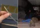 FOTO/ 20 de migranți, depistați de polițiștii de frontieră din vestul ţării. UNDE se ascundeau