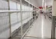 FOTO Lanțurile de aprovizionare din Australia, afectate de varianta Omicron: Rafturi GOALE în supermarketuri. Oamenii sunt DISPERAȚI