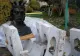 Bustul de bronz al lui Ștefan cel Mare a DISPĂRUT din magazia din Tecuci, unde era depozitat. La cât s-a ridicat investiția și de ce nu a fost niciodată expusă