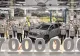 Uzina Dacia Mioveni a produs modelul cu numărul 7.000.000