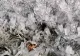 VIDEO / Dorel LOVEȘTE în plină iarnă! Aspersoare pornite, în Sectorul 6: Locuitorii au avut parte de un adevărat "SPECTACOL" glacial