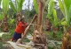 VIDEO Alimentul MINUNE din Etiopia: Ar putea SALVA vieți în fața schimbărilor climatice
