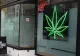 În Quebec, doar cei vaccinați pot cumpara ALCOOL si CANNABIS de la magazine