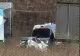 Accident GRAV pe DN 72, în județul Prahova. Două autoturisme şi un autotren s-au ciocnit: Două persoane, rănite