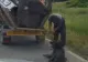 Un tânăr care a târât un câine după căruță până a murit, reținut de polițiști