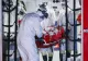Bilanț coronavirus 17 ianuarie: peste 8.100 de cazuri noi de infectare - câte decese s-au raportat în ultimele 24 de ore. Creștere uriașă a internărilor la ATI