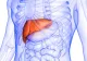 Acest aliment îţi distruge ficatul şi pancreasul! Ce evită să-ți spună nutriționiștii când îl recomandă în curele de slăbire