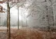 Prognoza meteo 27-30 ianuarie 2022. Vremea va continua să se încălzească 