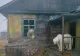 VIDEO | În Rusia, o stație meteo abandonată a devenit casă pentru mai mulți urși polari. Imaginile sunt desprinse din povești 