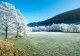 Vremea 20 ianuarie - Temperaturile, în ușoară creștere - Unde va mai ninge