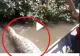 VIDEO – Mergeau cu barca pe râu când a apărut un monstru uriaș – Puțin a lipsit până la o tragedie