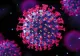 Epidemiolog român, prima veste bună COVID-19: După URAGANUL Omicron urmează o perioadă de liniște - Când se termină pandemia