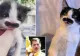 VIRAL. O pisicuță face furori pe internet în 2022 - Mostaccioli, cuceritoare ca... Freddy Mercury | FOTO&VIDEO