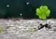 Horoscop 25 ianuarie. Zodia care cunoaște succesul. Câștiguri financiare uriașe 