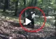 VIDEO – Ursul alerga prin pădure, în mare viteză, și a fost la un pas să dea peste oameni – Cum a reacționat când i-a văzut