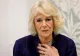 Camilla, ducesa de Cornwall, a fost testată pozitiv cu Covid-19