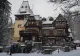 RO-ALERT în Sinaia, la Castelul Peleș! Mesajul a fost emis pentru a semnala prezenţa unei URSOAICE cu pui