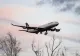 Scene șocante în avion: Bărbat arestat după ce ar fi abuzat o femeie în timpul unui zbor