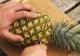 Un bătrân a tăiat codița de la ananas și a pus-o într-o farfurie. Puțin mai târziu, surpriză! - FOTO