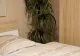 De ce nu e bine să dormi cu plante în cameră