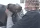 VIDEO | Salvare MIRACULOASĂ! Un câine este scos dintr-o mașină în flăcări în ultimul moment