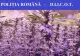Plantație de CANNABIS în România cu fonduri europene! Banii erau destinați unei ferme de legume. Crescătorul a fost dat în urmarire generală 