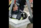 VIDEO | Câine salvat de pompieri dintr-o fântână adâncă de 27 de metri. Cățelul a stat aproape 2 ore în apa rece ca gheața
